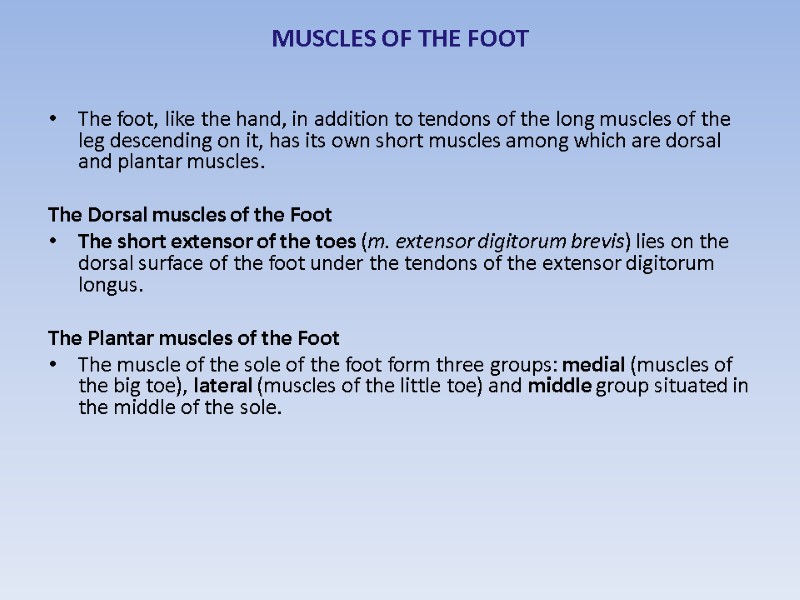 MUSCLES OF THE FOOT  The foot, like the hand, in addition to tendons